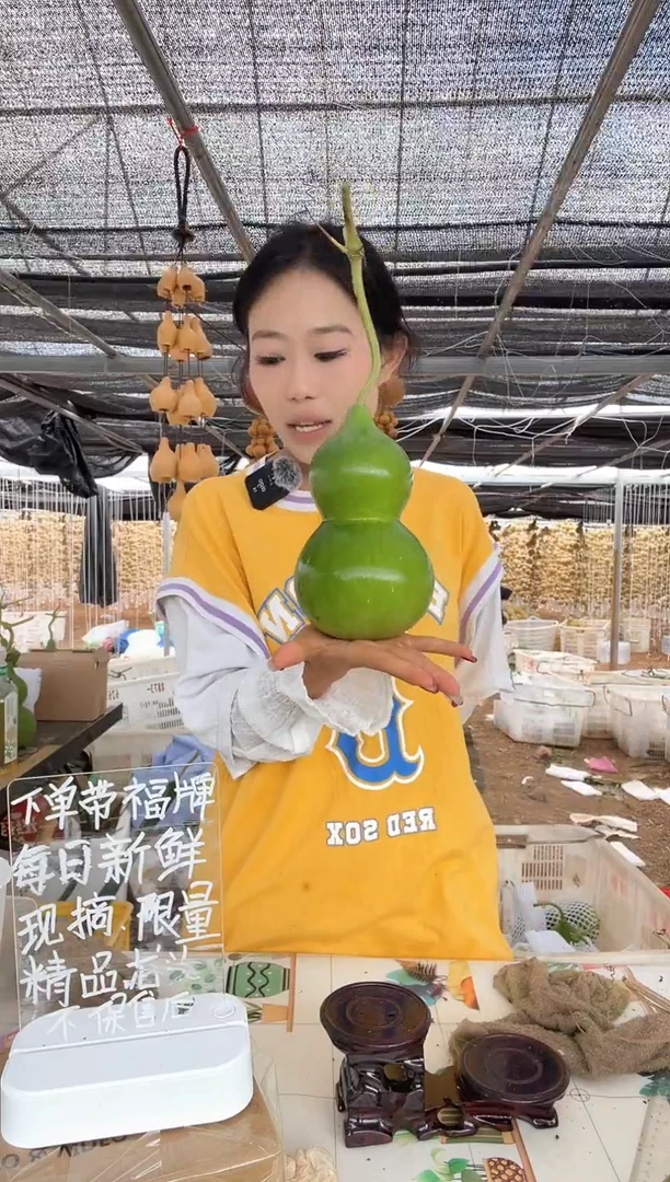 360天然葫芦摆件 一物一拍龙头不保售后