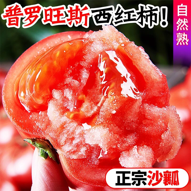 普罗旺斯新鲜西红柿水果蔬菜番茄爆汁沙瓢生吃孕妇