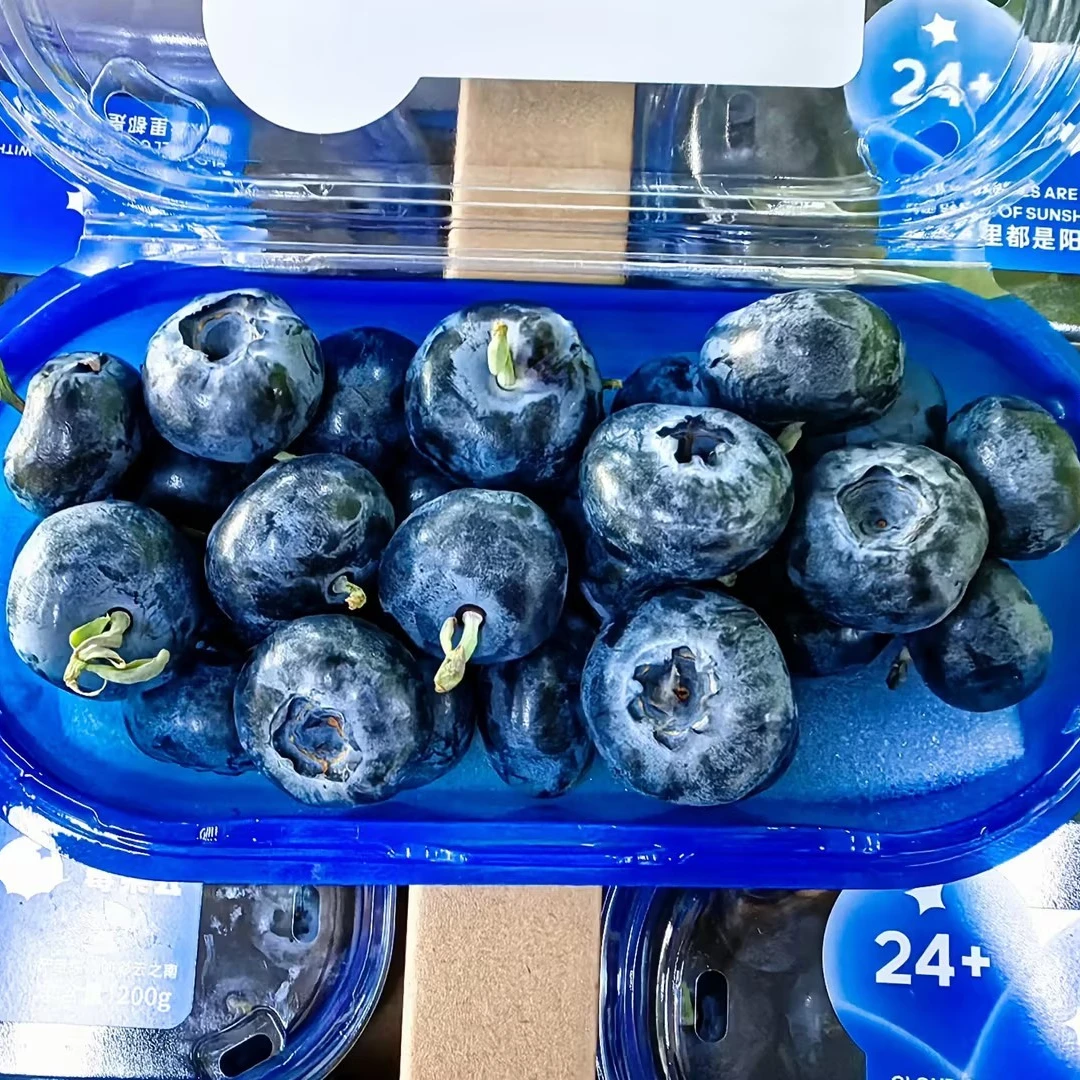 【顺丰次日达】云南蓝莓 莓朵云蓝莓 整件发货
