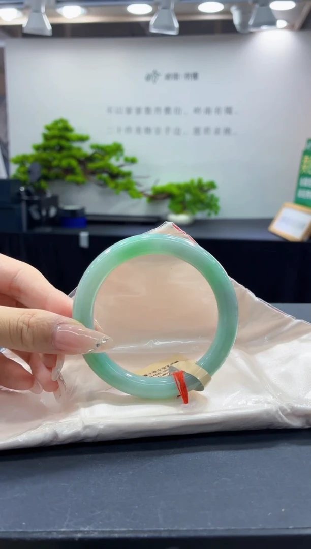 未镶嵌手镯翡翠4