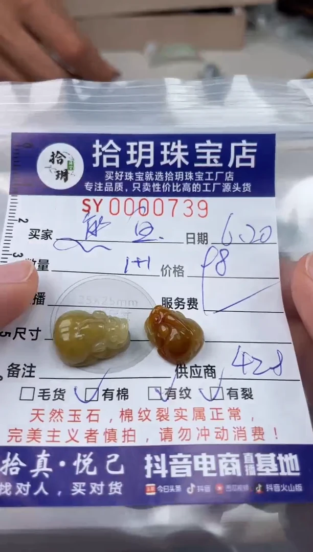 翡翠未镶嵌颈饰✾****寶翡翠挂件貔貅739