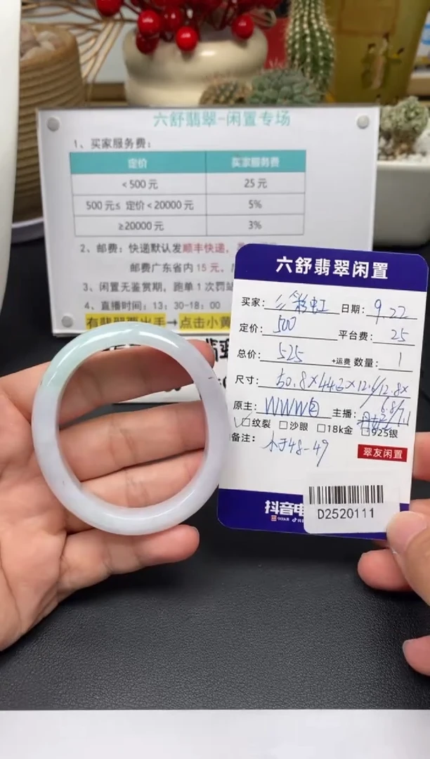 未镶嵌手镯翡翠?****rD2520111