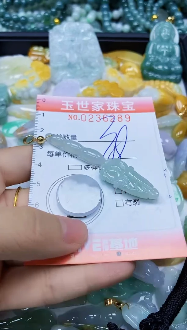 翡翠未镶嵌颈饰闪购0236289