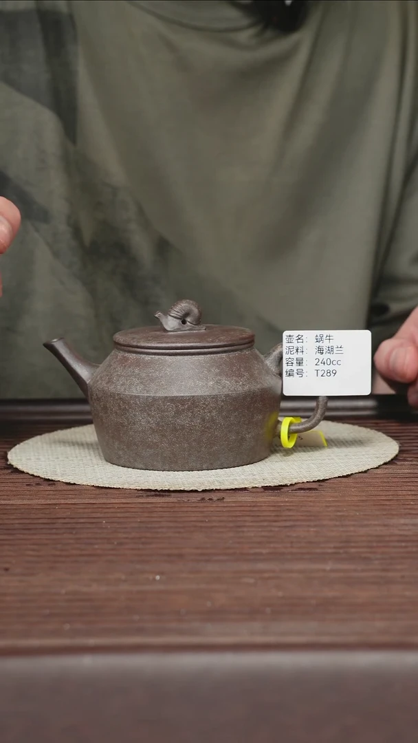茶壶紫砂T289海湖蓝蜗牛240cc