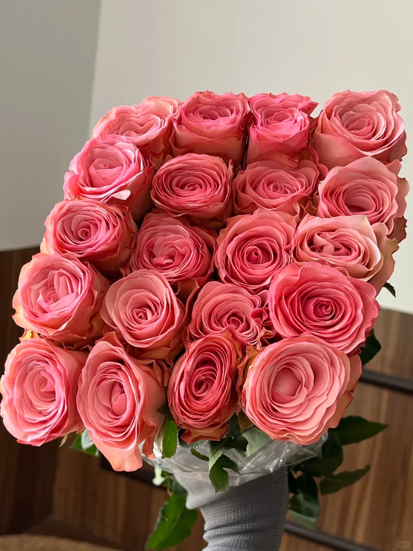 【和弦玫瑰】  收到鲜花第一时间醒花 云南爆品鲜花