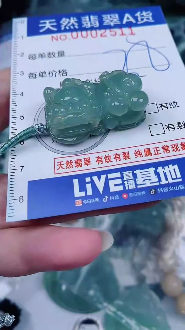 翡翠未镶嵌颈饰00002511