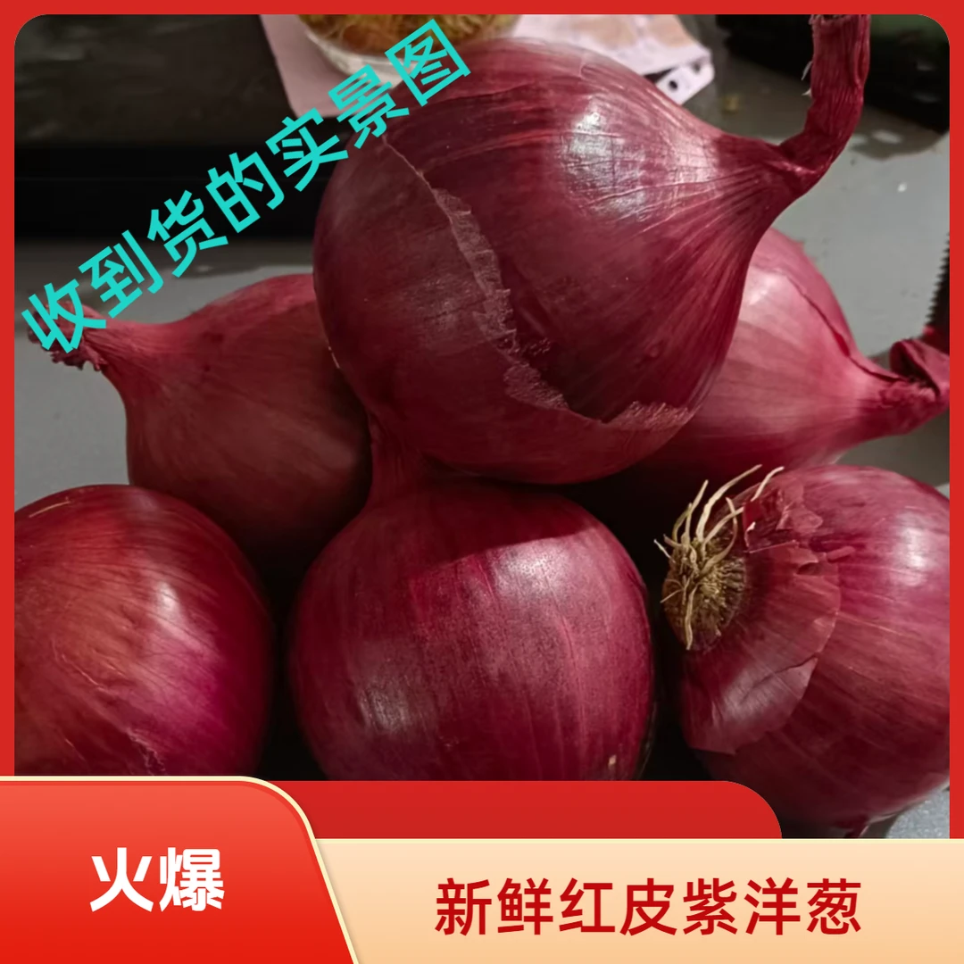 河南新鲜先挖水果洋葱有圆有扁的晾干红皮紫色洋葱产地直发可生吃
