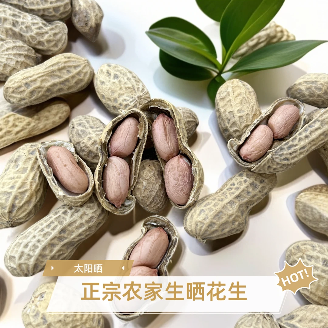生晒花生2025最新农家自晒新鲜花生儿时的味道