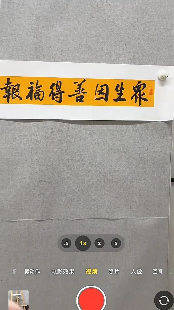 【闪购商品】书法-绘画-伯揆-0.5平尺书法