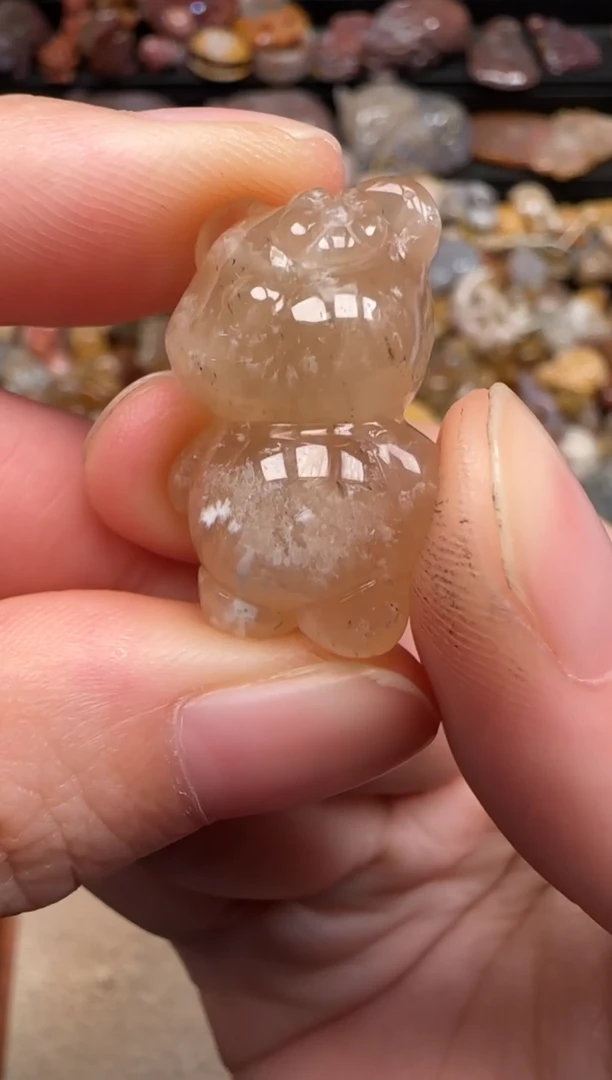 硅化珊瑚（珊瑚玉）未镶嵌颈饰798