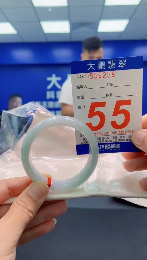 未镶嵌手镯翡翠AAAAAAAAA