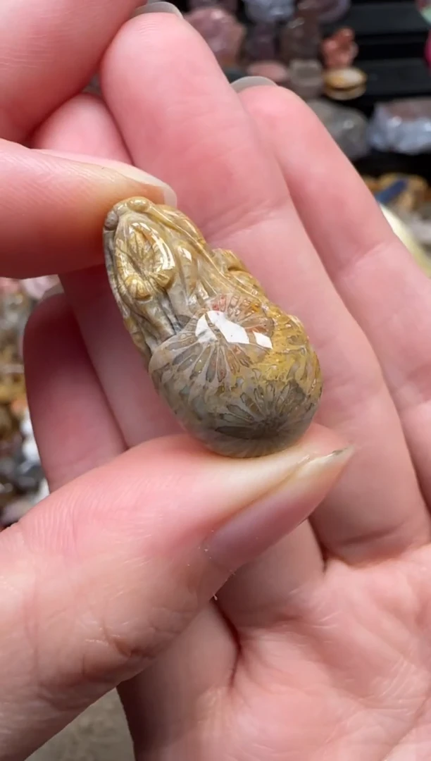 颈饰未镶嵌硅化珊瑚（珊瑚玉）702