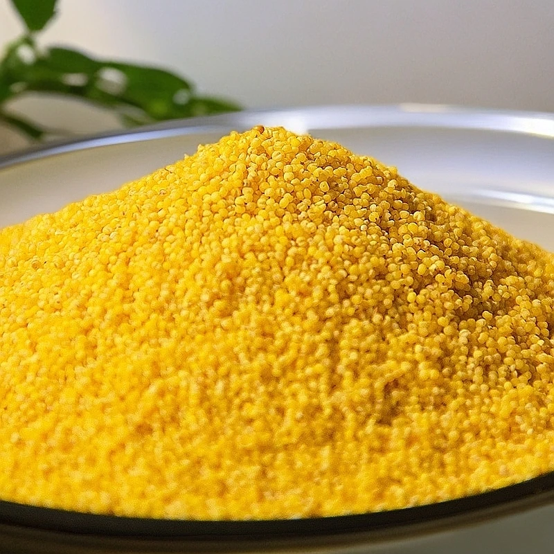 【草原汇香】敖汉有机小米400g*5块