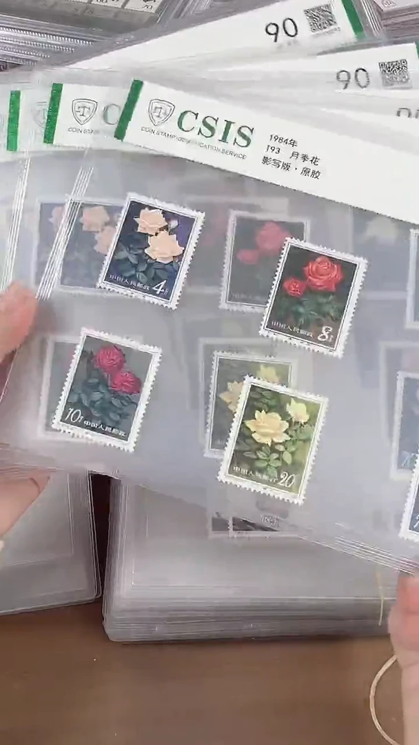 T93 月季花 片材 随机发