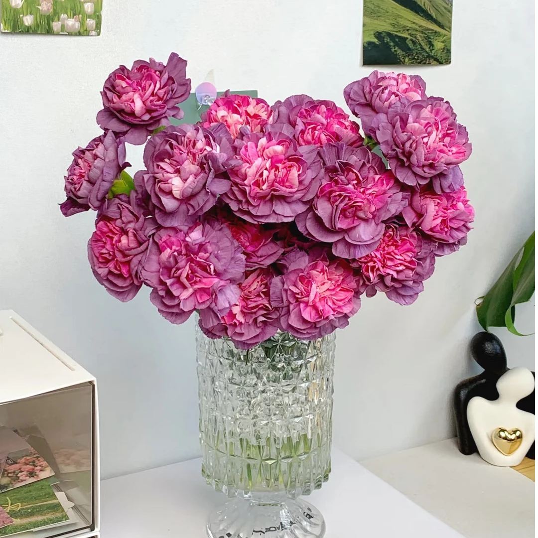 家居办公生活精选康乃馨野马18-20枝