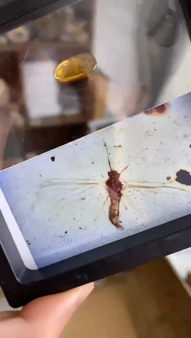 精）随心选各种各样创意礼物——家居摆件