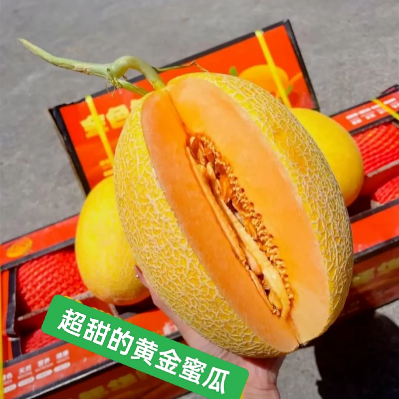 【顺丰送上门】新疆金色年华哈密瓜净重6-7斤新鲜当季甜瓜水果同城送新疆维吾尔自治区