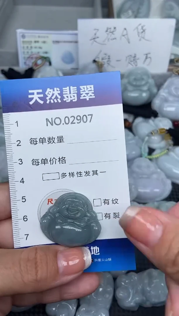 颈饰未镶嵌翡翠纯天然A货翡翠2907