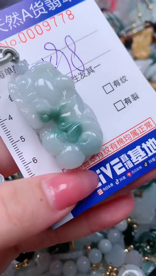 【闪购商品】翡翠颈饰未镶嵌00009778