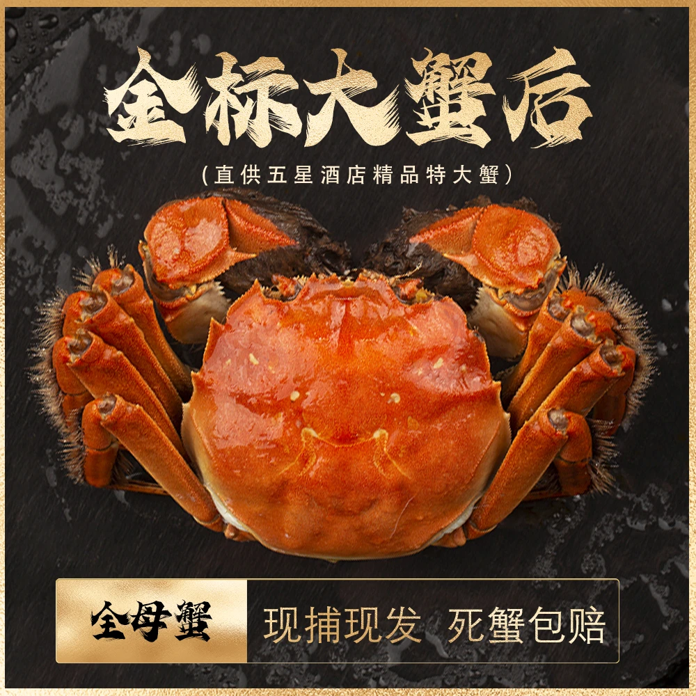 【活蟹】辽河大河蟹 母蟹（2.3-2.6两）8只/10只装 顺丰包邮送货上门