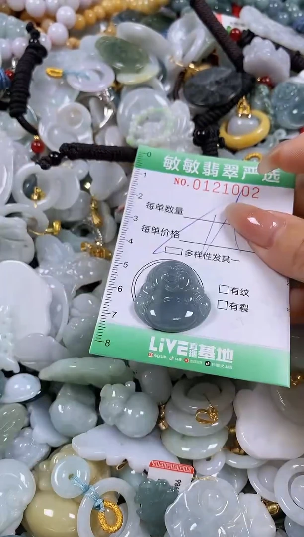 【闪购商品】翡翠颈饰未镶嵌闪购0121002多样性发其一