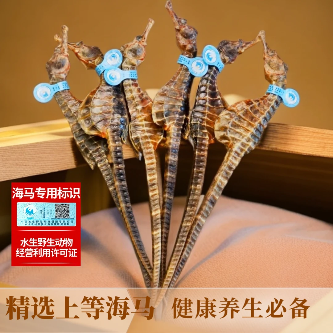 【特大馬3-4克/只】海马干货正品真带溯源码男女海马公母一对正品