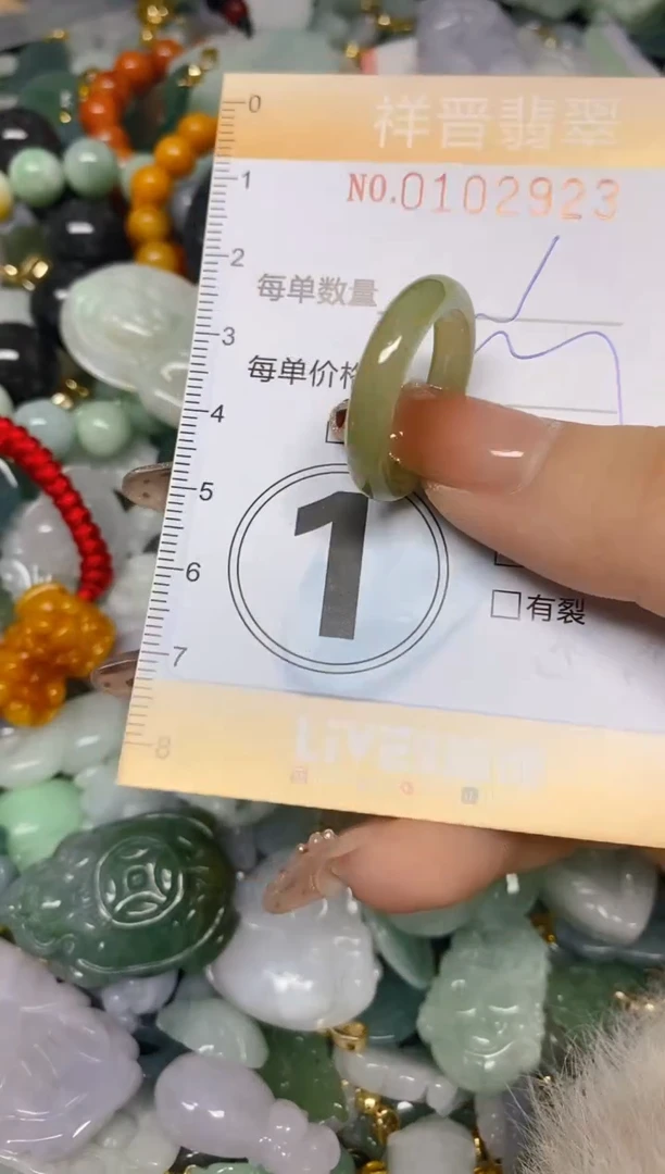 【闪购商品】翡翠颈饰未镶嵌闪购0102923