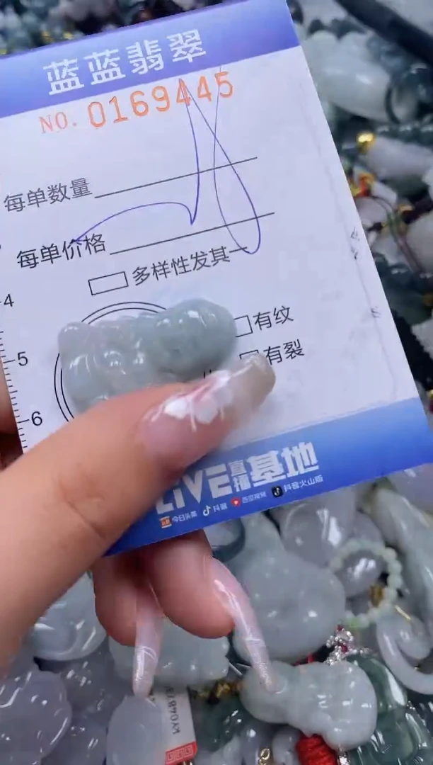 【闪购商品】翡翠颈饰未镶嵌闪购0169445