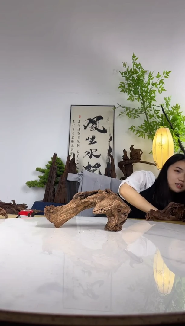 R**z拍这个定向编号56