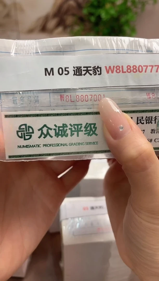M 05 通天豹 发发发 W8L8807777