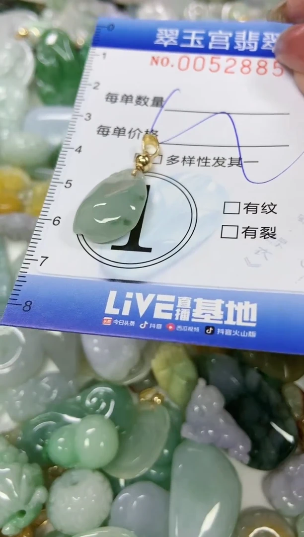 【闪购商品】翡翠颈饰未镶嵌闪购0052885