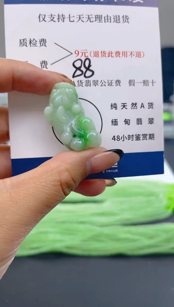 颈饰未镶嵌翡翠纯天然缅甸翡翠A货