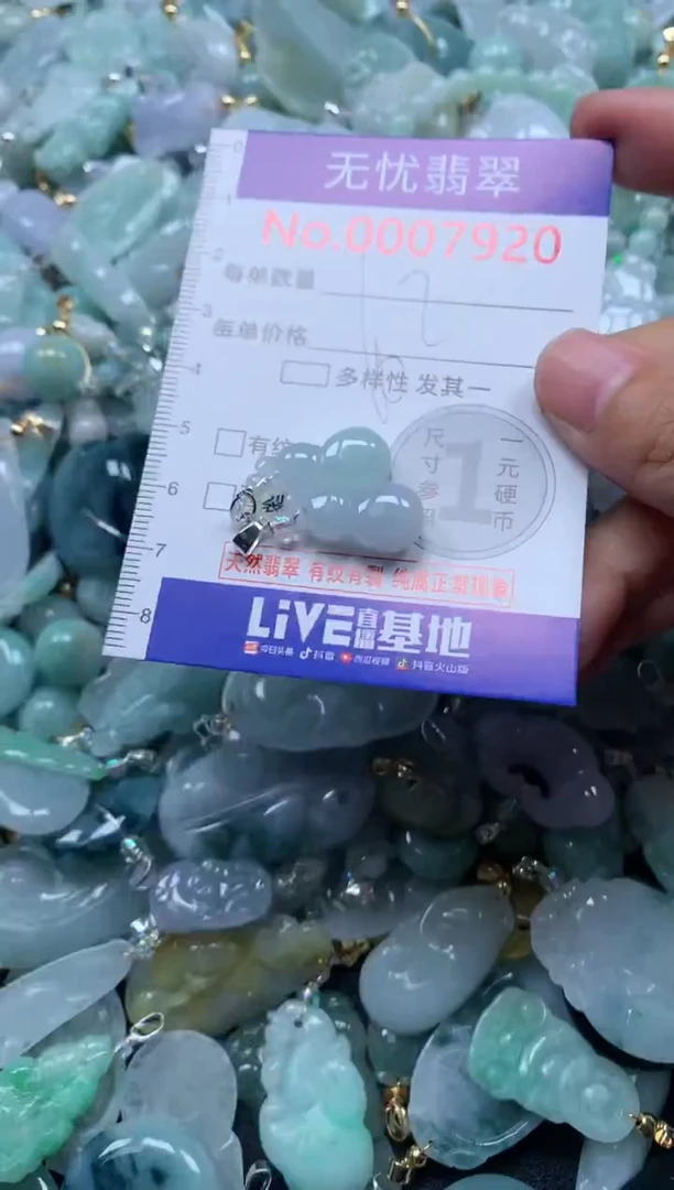 颈饰未镶嵌翡翠7920