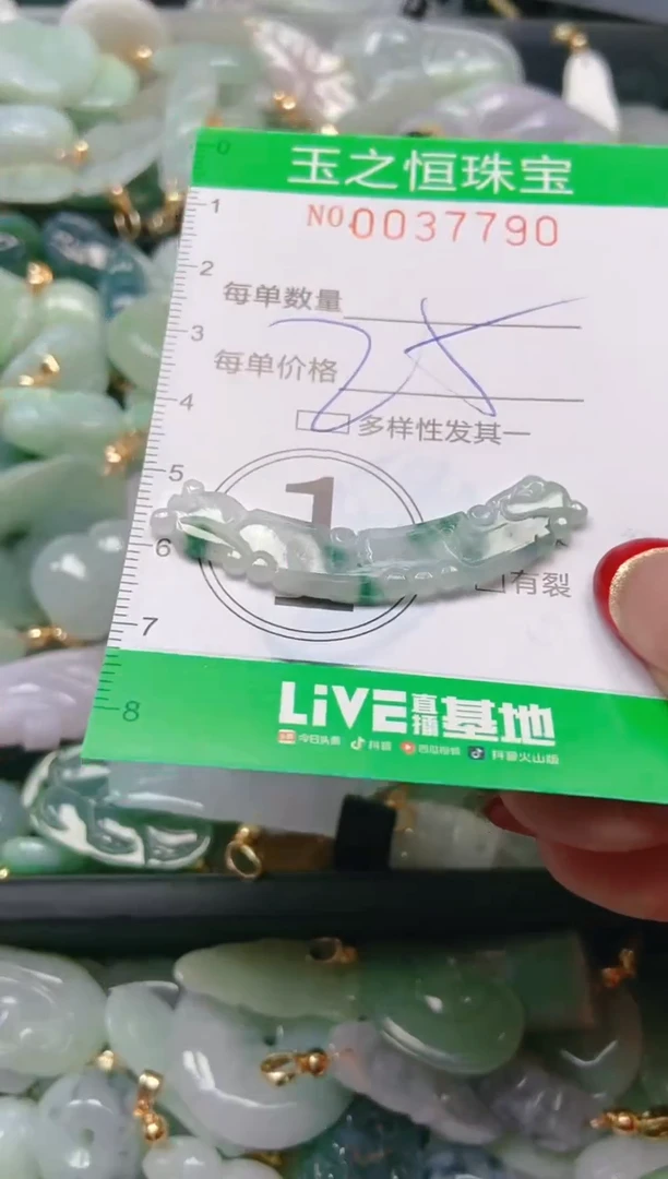 【闪购商品】翡翠颈饰未镶嵌闪购0037790