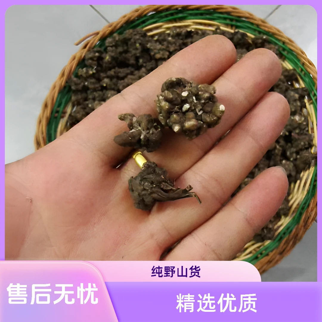 大山猫爪草~已晒干货～可煮水泡茶