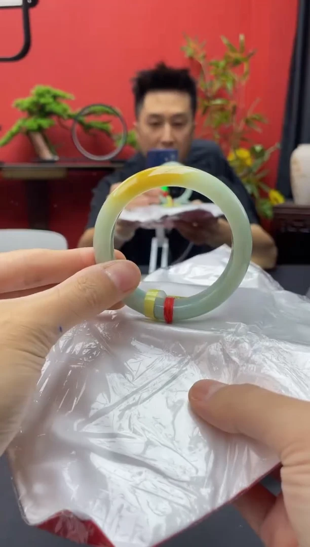 未镶嵌手镯翡翠9