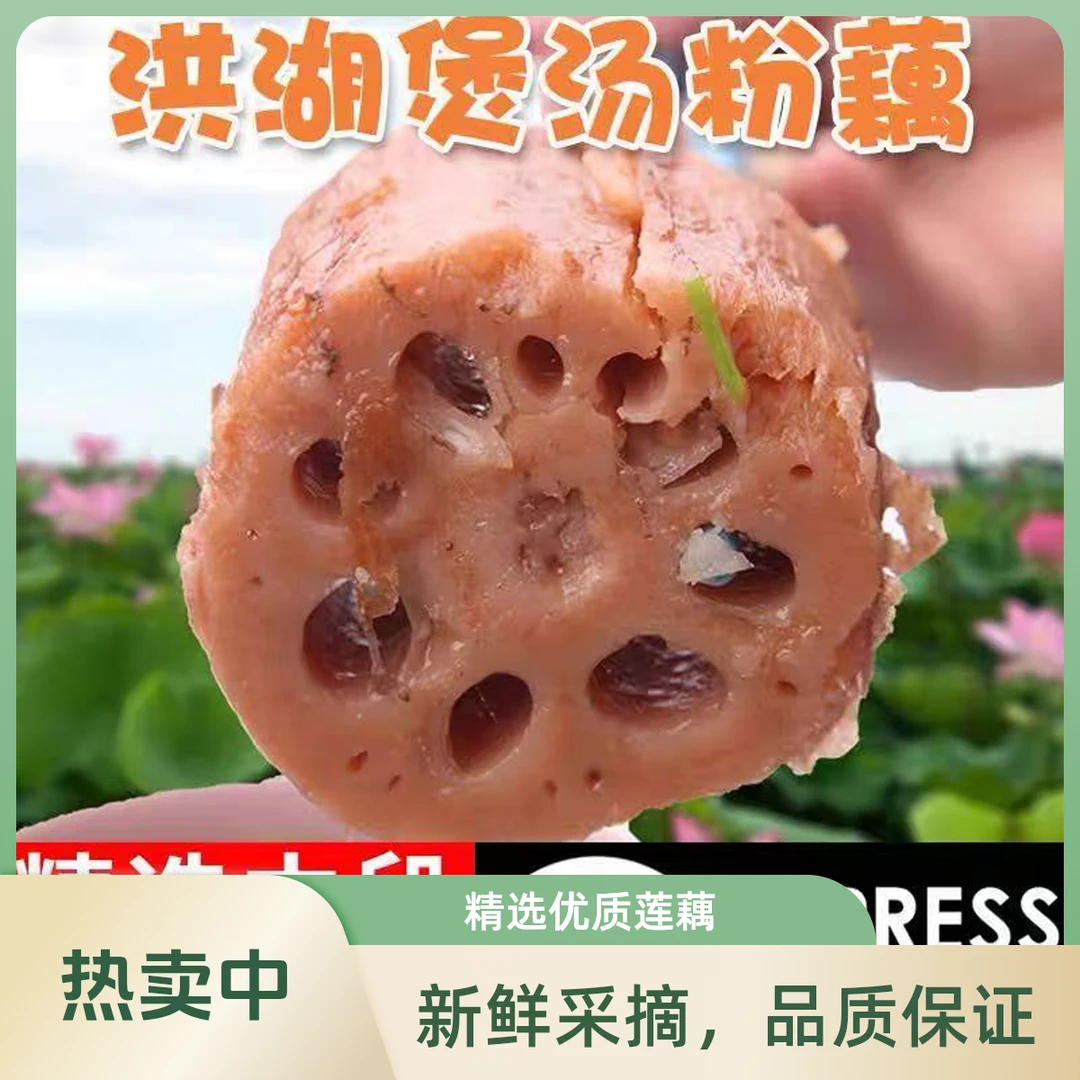【顺丰次日达】湖北洪湖今年新粉藕莲藕煲汤专用农家当季新鲜 现挖现发 整箱批发 全国多仓粉藕