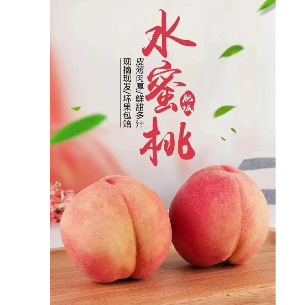 正宗蟠桃水蜜桃6个装5斤顺丰包邮