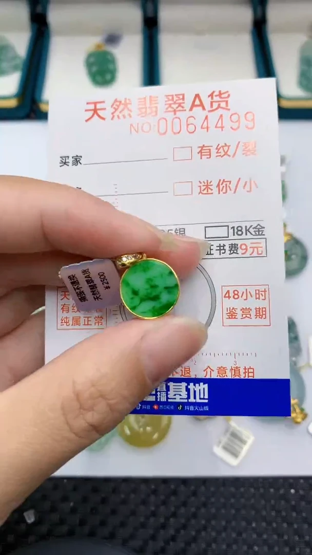 【闪购商品】翡翠颈饰银S925镶嵌            8