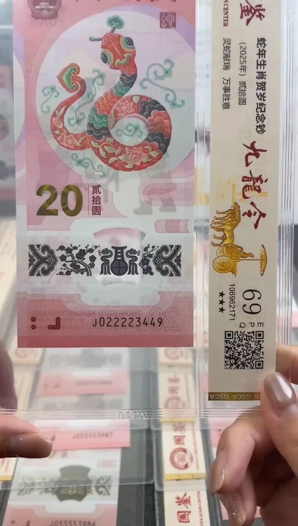 塑料九龙令蛇钞022223449