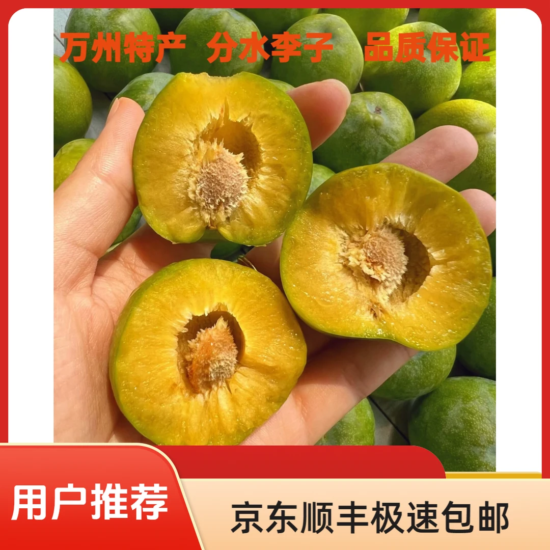 【京东/顺丰包邮】重庆万州区分水李子新鲜新鲜水果