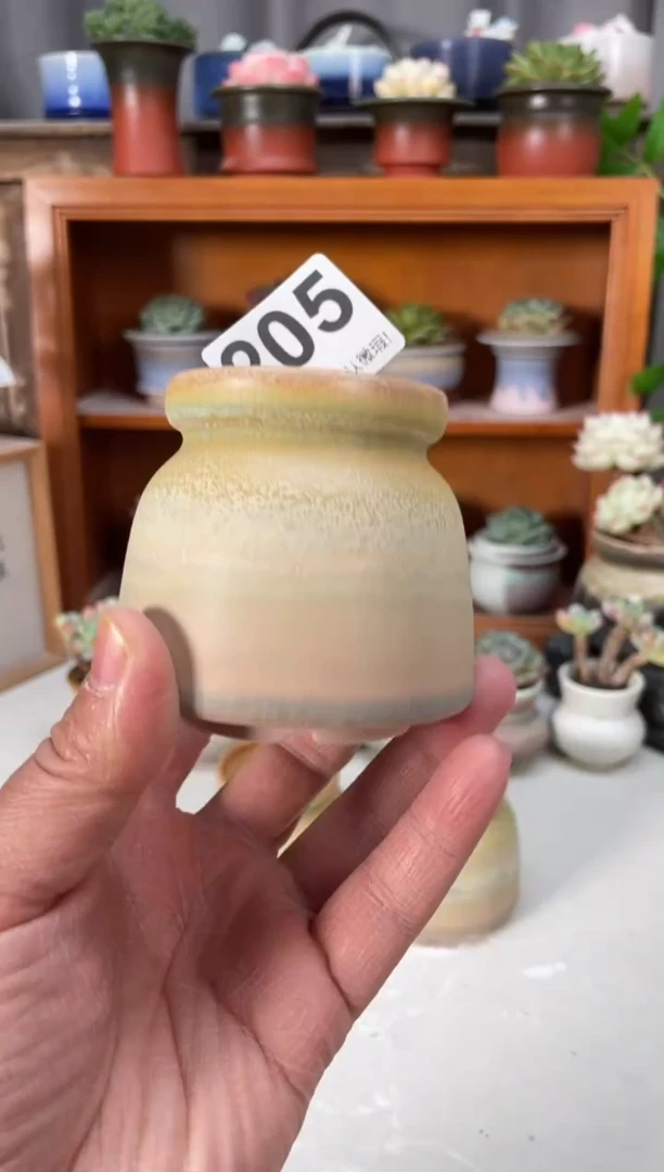 瓷片205小芳直播编号