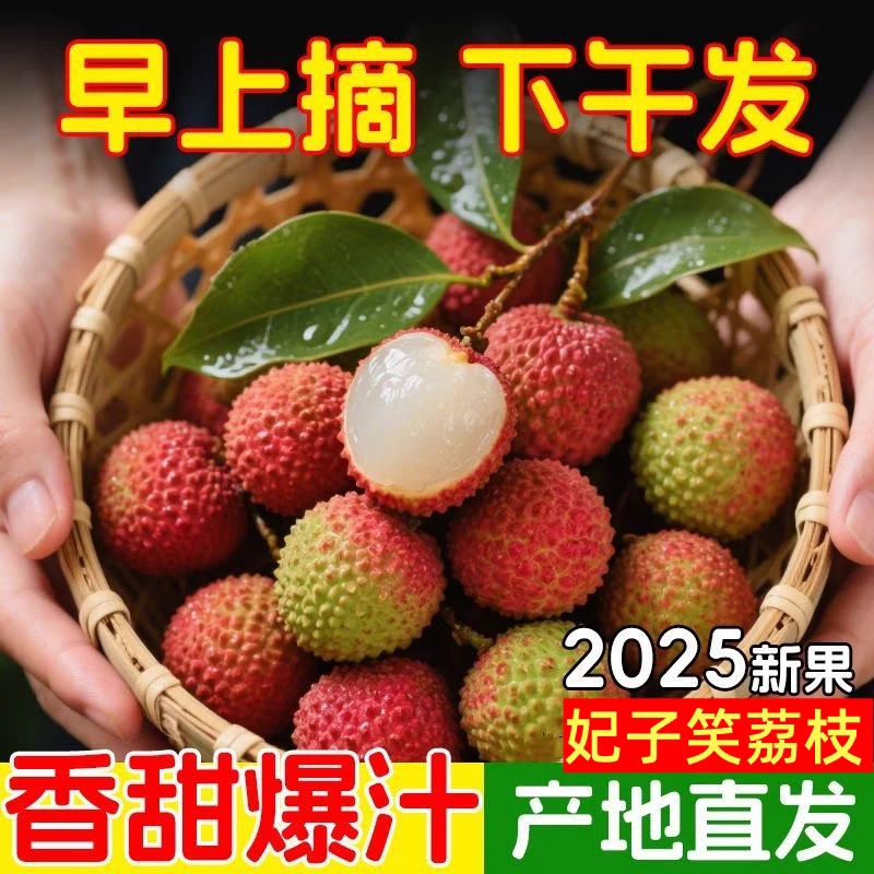 【冷链速达】广东妃子笑荔枝当季水果核小肉厚清甜多汁新鲜现发包邮