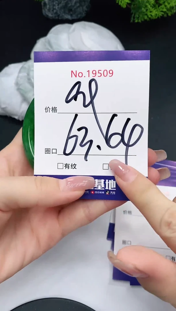 未镶嵌手镯翡翠19509