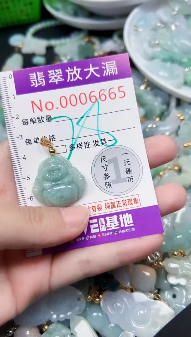 颈饰未镶嵌翡翠6665