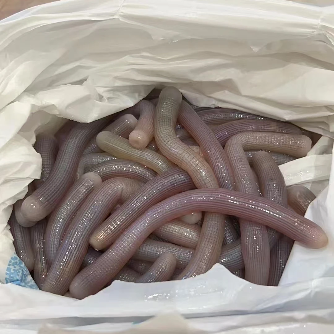 沙虫 1斤杀后约4两  200g/盒 顺丰发货新鲜到家