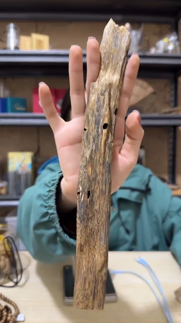 【闪购商品】沉香摆件14号棋楠虫漏块料62克+