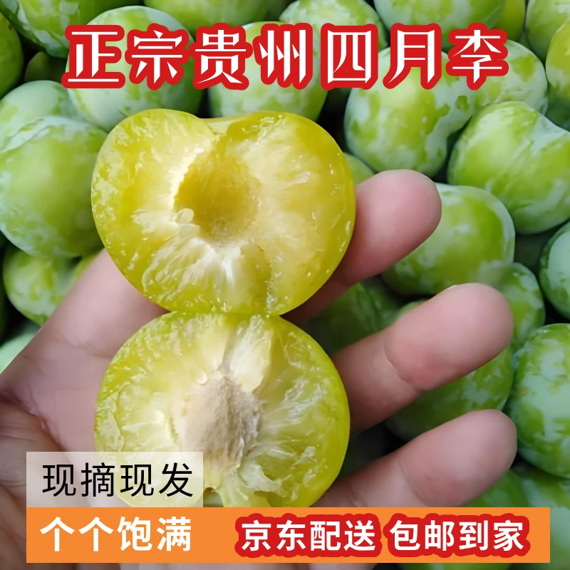 【专属】贵州安顺四月李新鲜应季脱骨青脆李子多地正宗酸甜爽口