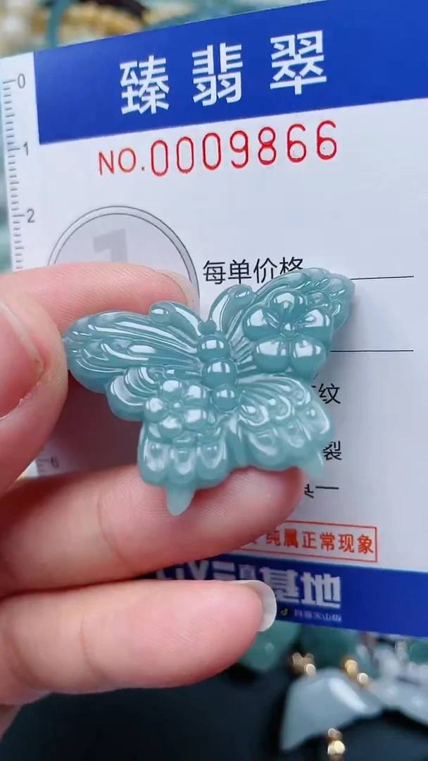 颈饰未镶嵌翡翠.0009866