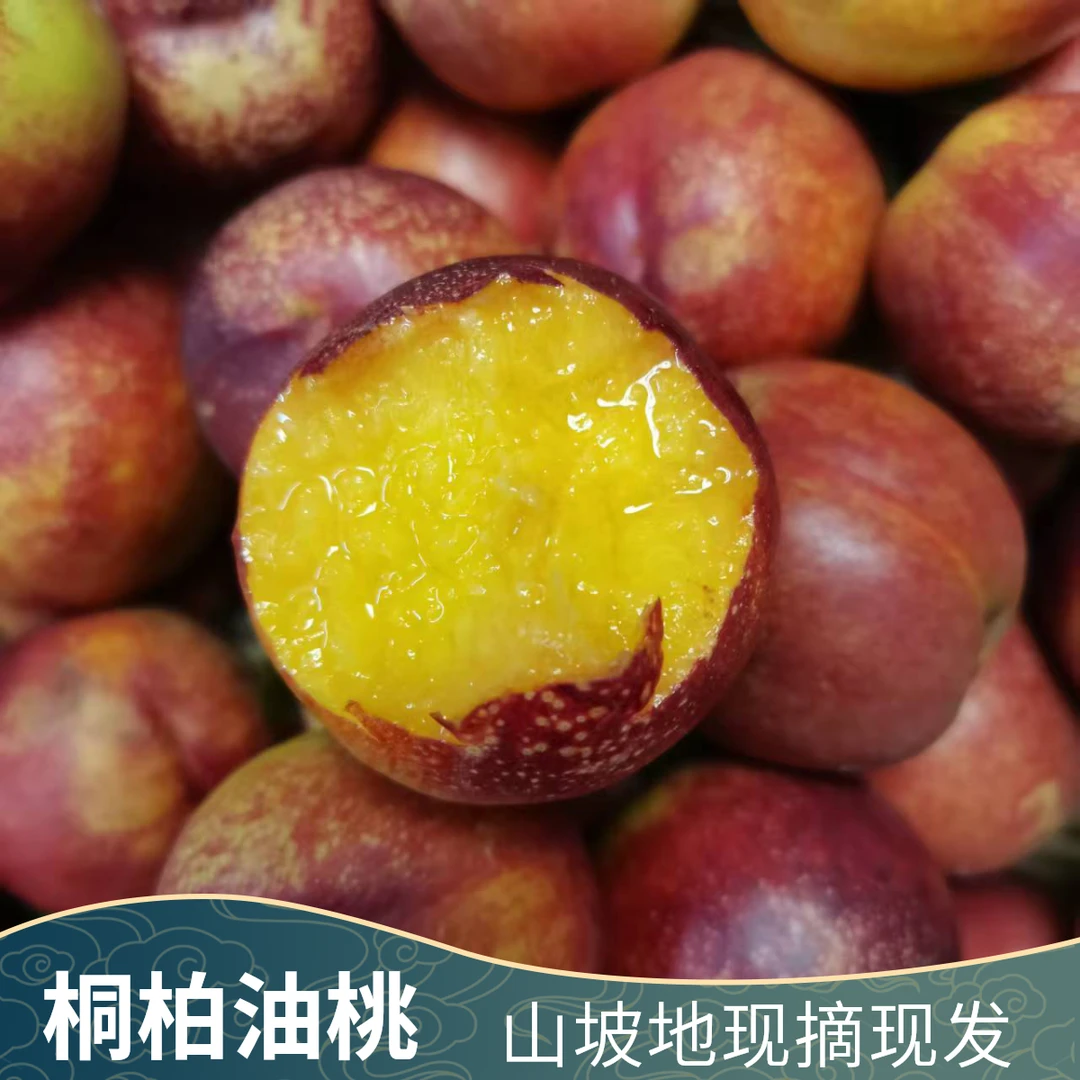 桐柏新鲜油桃山坡麻点红油桃黄心桃子脆甜软甜现摘应季水果